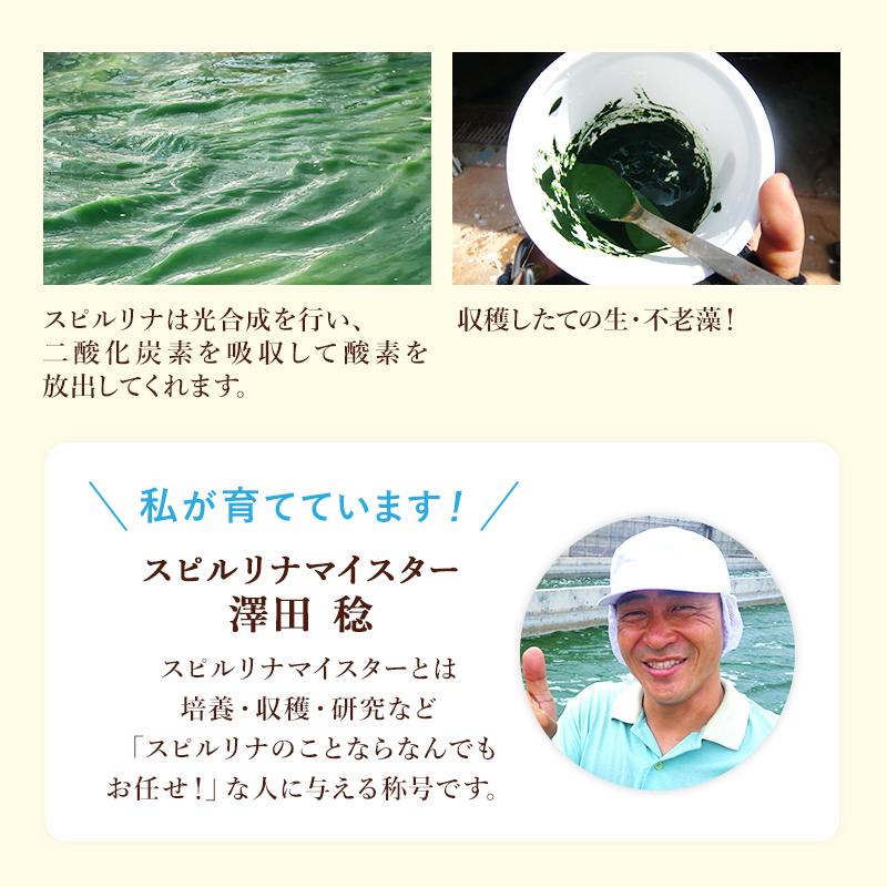 不老藻（ふろうそう）600粒 サプリメント 藻 BCAA 健康食品 Spirulina｜sp100｜18