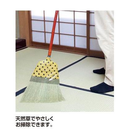 テラモト 座敷ほうき信濃 短柄 納期確認品です ふじまるマーケット 通販 Yahoo ショッピング