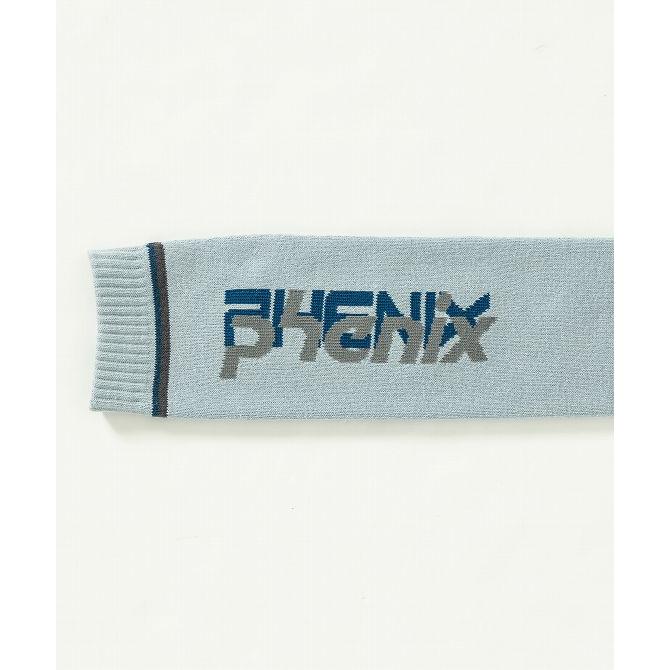 フェニックス（PHENIX） Double Phenix Logo Mens Socks メンズダブル