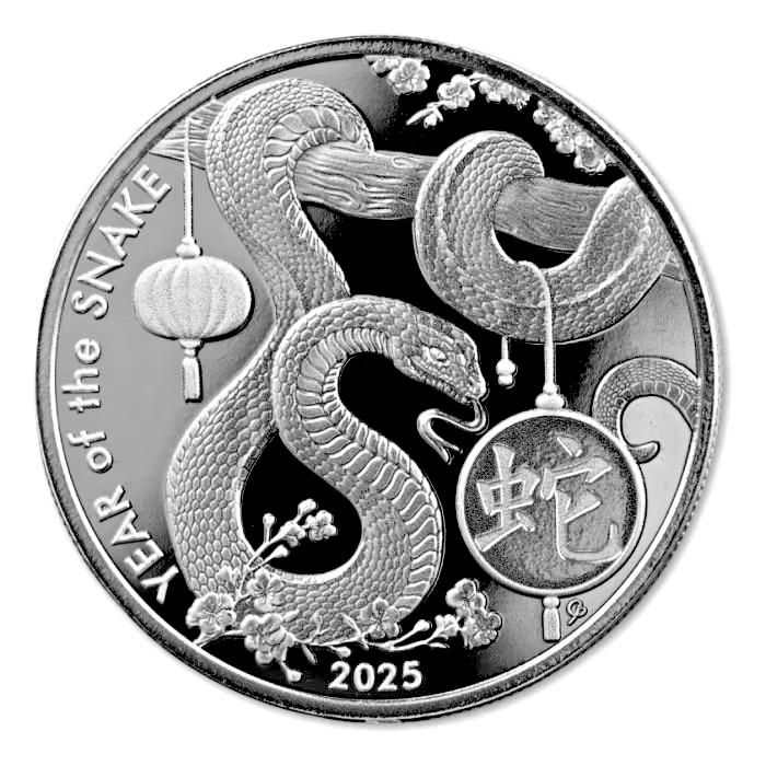 ASAHI 干支蛇銀貨 1オンス 2025年製 クリアケース入り 純銀 コインの画像