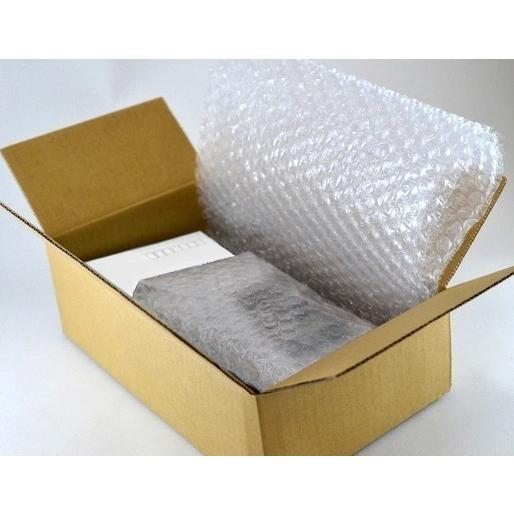 バッファロー・インディアン 純銀 コイン 1/4オンス クリアケース入り