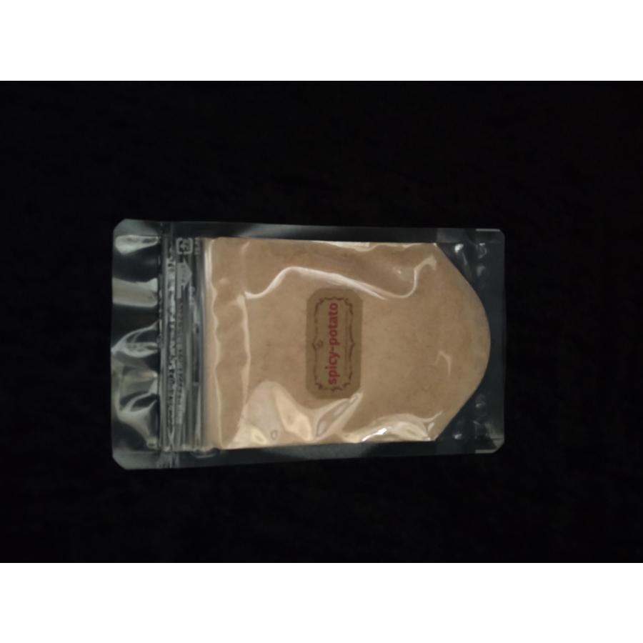 フライドポテト専用スパイス　シーズニングパウダー　アウトドアスパイス　シャカシャカポテト　スパ粉 40g | 