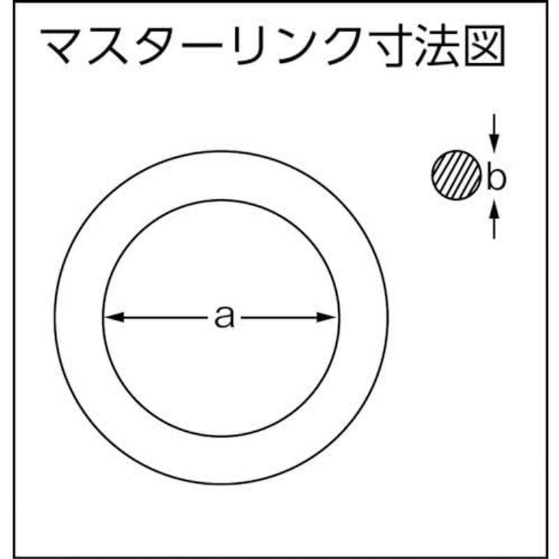 大洋　2本吊　ワイヤスリング　3.2t用×1m　2WRS