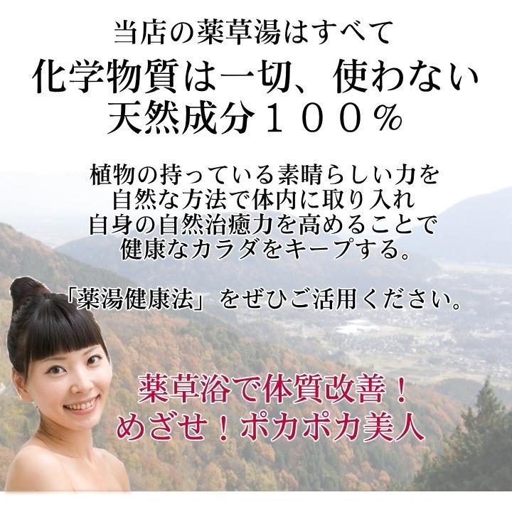 入浴剤 詰め合わせ セット No.5 / 日本の薬草湯3袋 / 伊吹泉4袋 / 薬壽4袋 / 飛騨浴湯4袋 / 〜岐阜の薬草湯を詰め合わせたセットです〜｜spalabo｜08