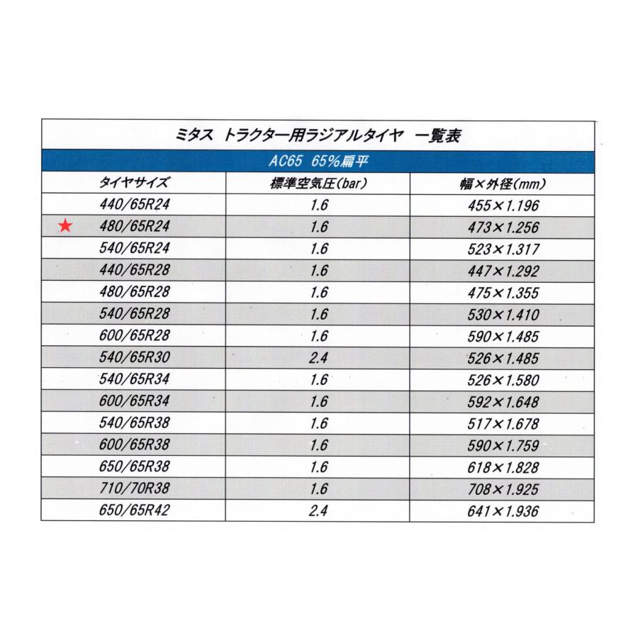 Mitas ミタス トラクター用ラジアルタイヤ AC65 サイズ 480/65R24