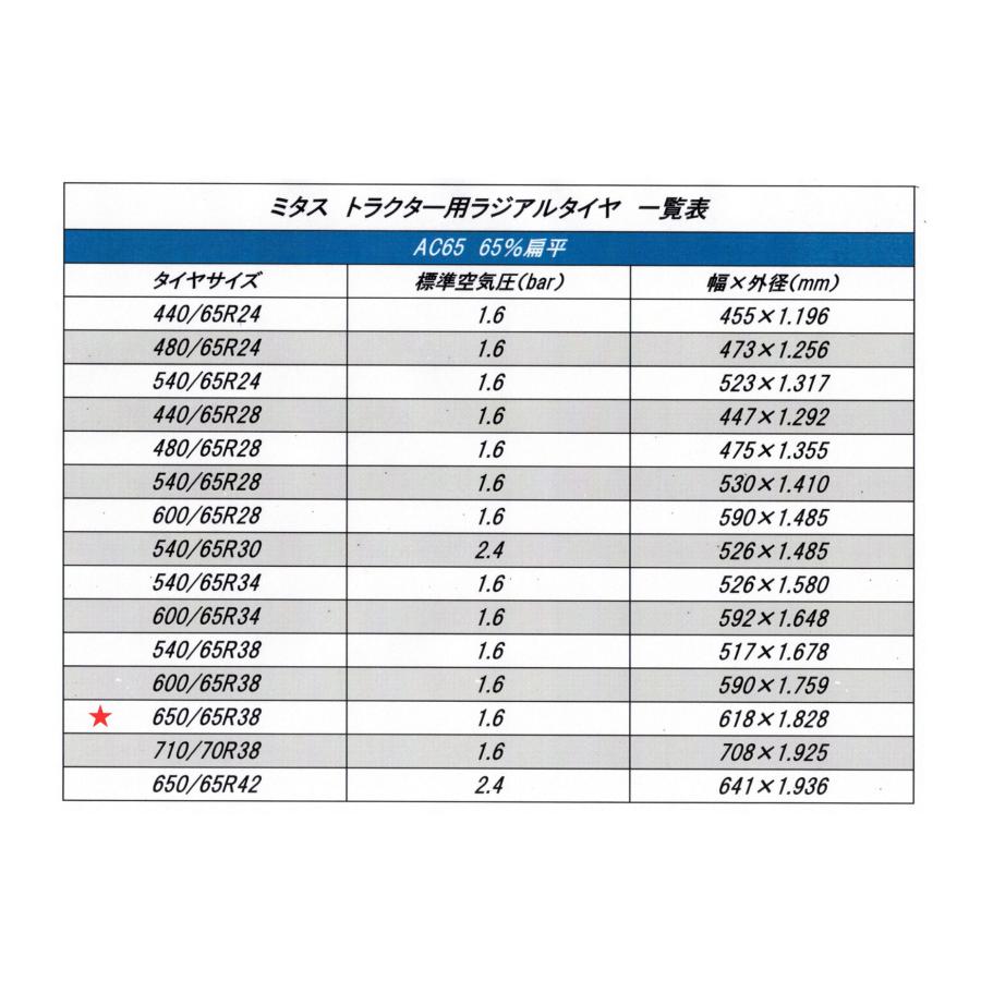 Mitas ミタス トラクター用ラジアルタイヤ AC65 サイズ 650/65R38