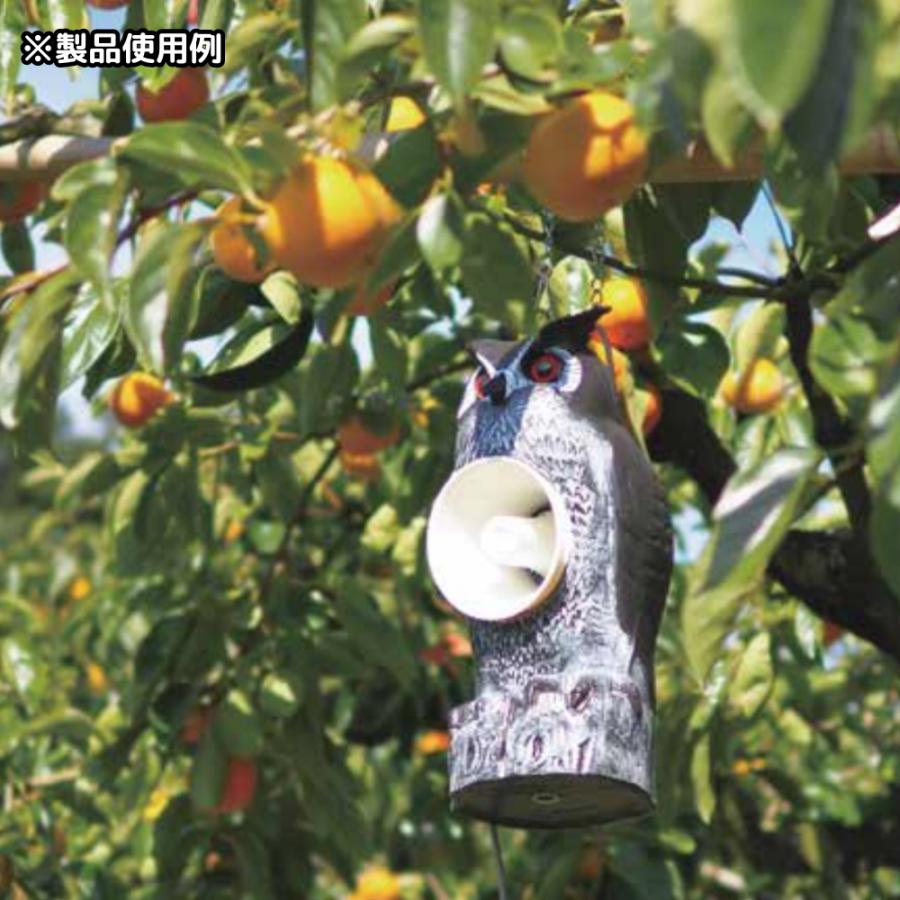 タイガー】天敵ニラミ トリサッタ 鳥害対策 TTN-T5 日本製