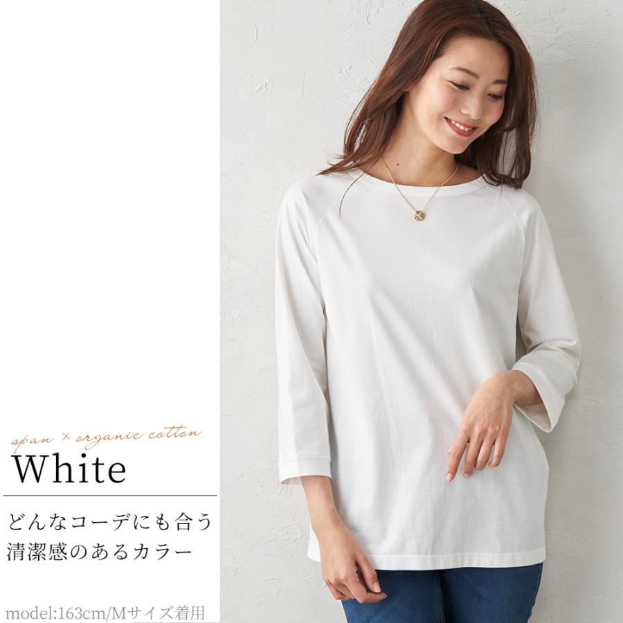 長袖tシャツ レディース トップス 春 ラグランスリーブ 七分袖