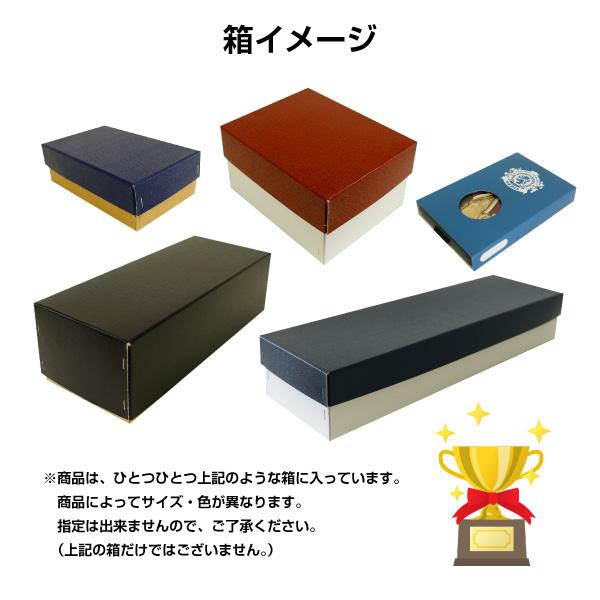 トロフィー サッカー 表彰用 記念品 Bサイズ 高さ25.5cm 最安値 彫刻代無料 bt-2329-b 特集の画像