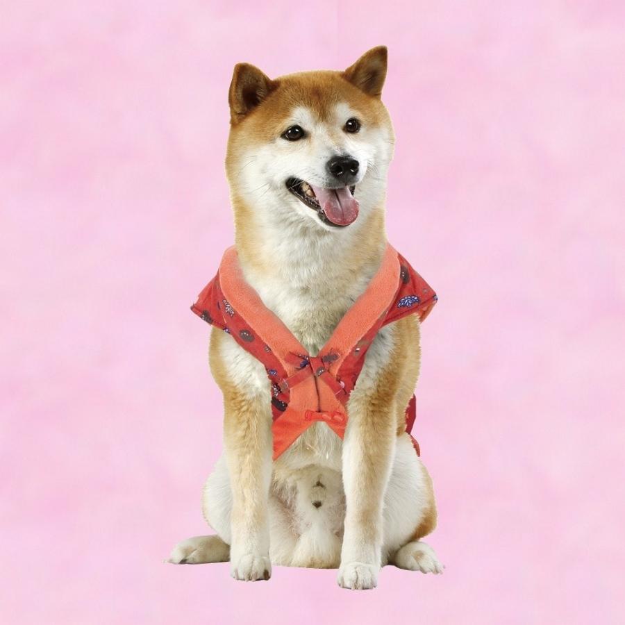 GONTA CLUB マルカン ワンコちゃんこ M 中型犬用 DP-262 : スパニエル