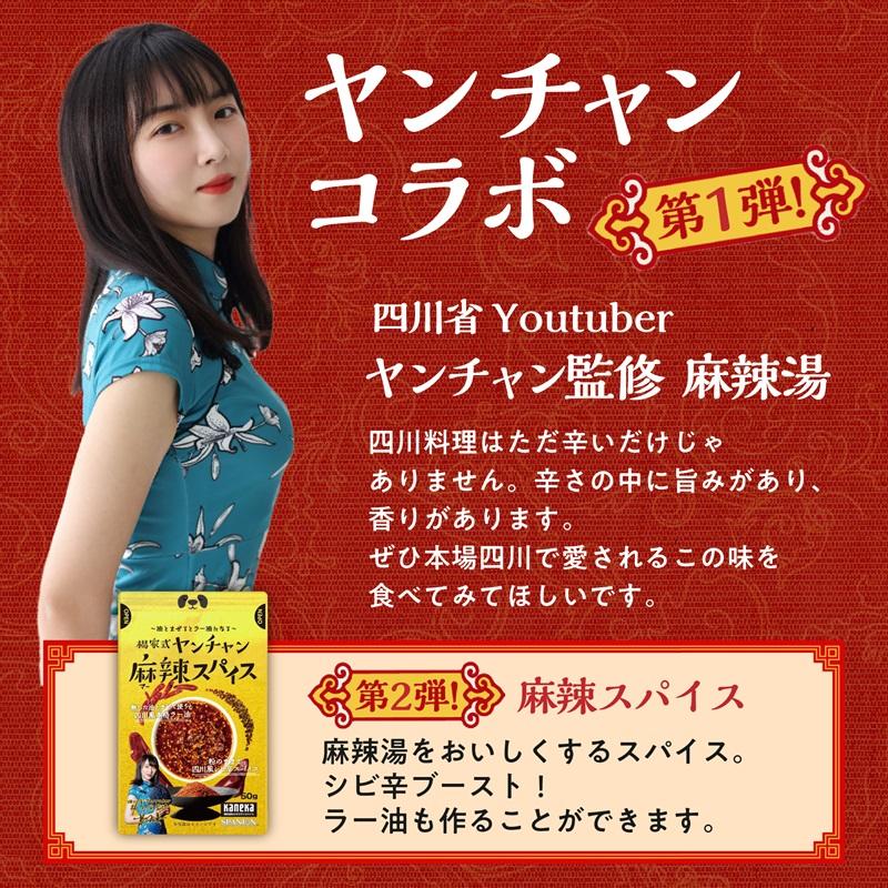 麻辣湯の素 70g×3袋 麻辣湯 火鍋 マーラータン 「ひるおび」で紹介 四川省出身YouTuberヤンチャン監修 火鍋の素 約30回分 SPANION 【リニューアルしました！】 | SPANION | 15