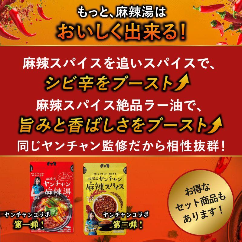 麻辣スパイス 50g 麻辣 ラー油 食べるラー油 シビ辛 マーラー 作るラー油の素 四川省出身YouTuber ヤンチャン監修 レビューで花椒 SPANION | SPANION | 06