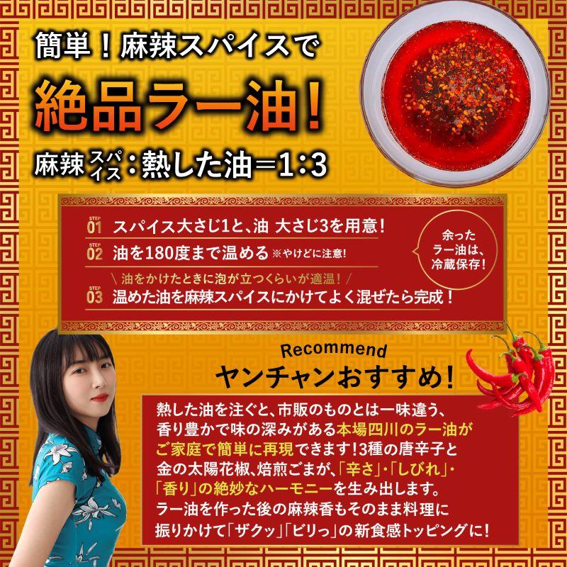 麻辣スパイス 50g 麻辣 ラー油 食べるラー油 シビ辛 マーラー 作るラー油の素 四川省出身YouTuber ヤンチャン監修 レビューで花椒 SPANION | SPANION | 07
