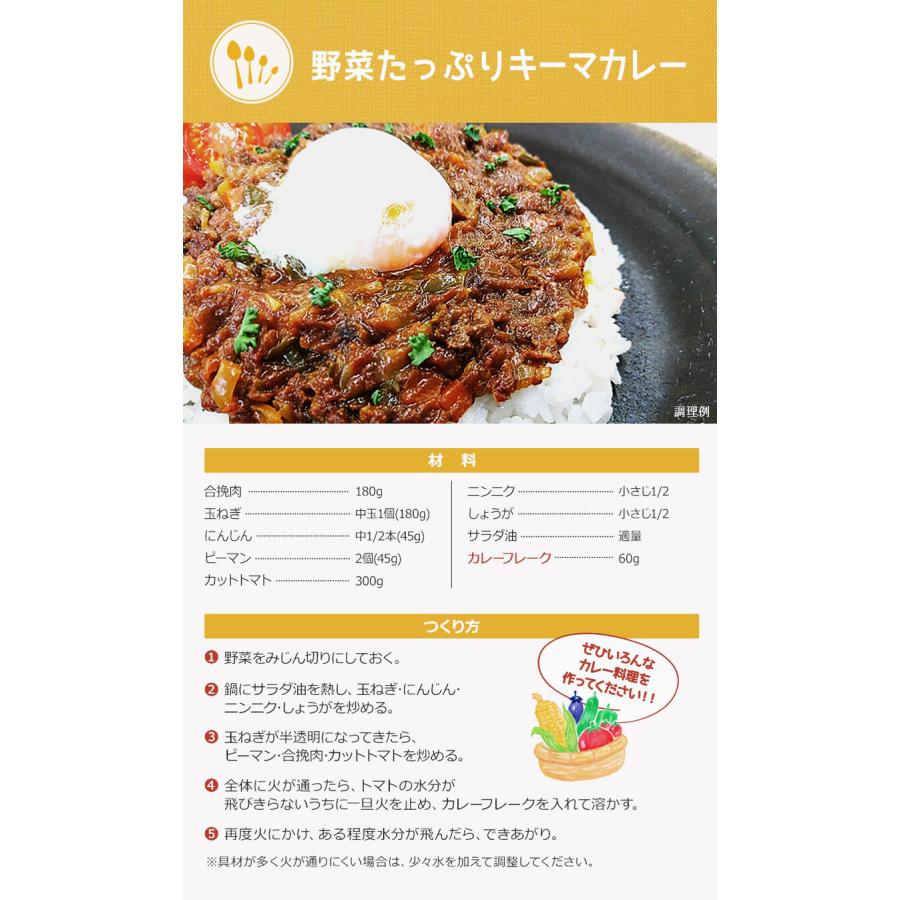 カレーフレーク 中辛 170g カレールー カレー粉 スパイス専門店 スパイス30種 レビュープレゼント SPANION | SPANION | 13