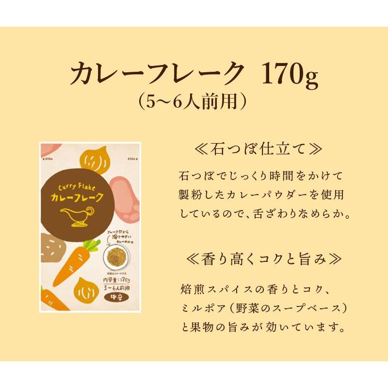 カレーフレーク 中辛 170g カレールー カレー粉 スパイス専門店 スパイス30種 レビュープレゼント SPANION | SPANION | 03