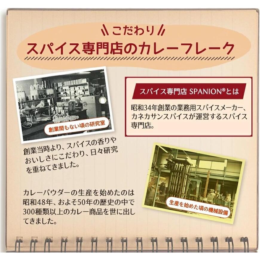 カレーフレーク 中辛 170g カレールー カレー粉 スパイス専門店 スパイス30種 レビュープレゼント SPANION | SPANION | 04
