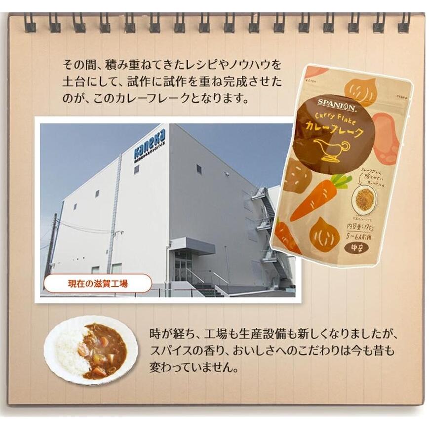 カレーフレーク 中辛 170g カレールー カレー粉 スパイス専門店 スパイス30種 レビュープレゼント SPANION | SPANION | 05
