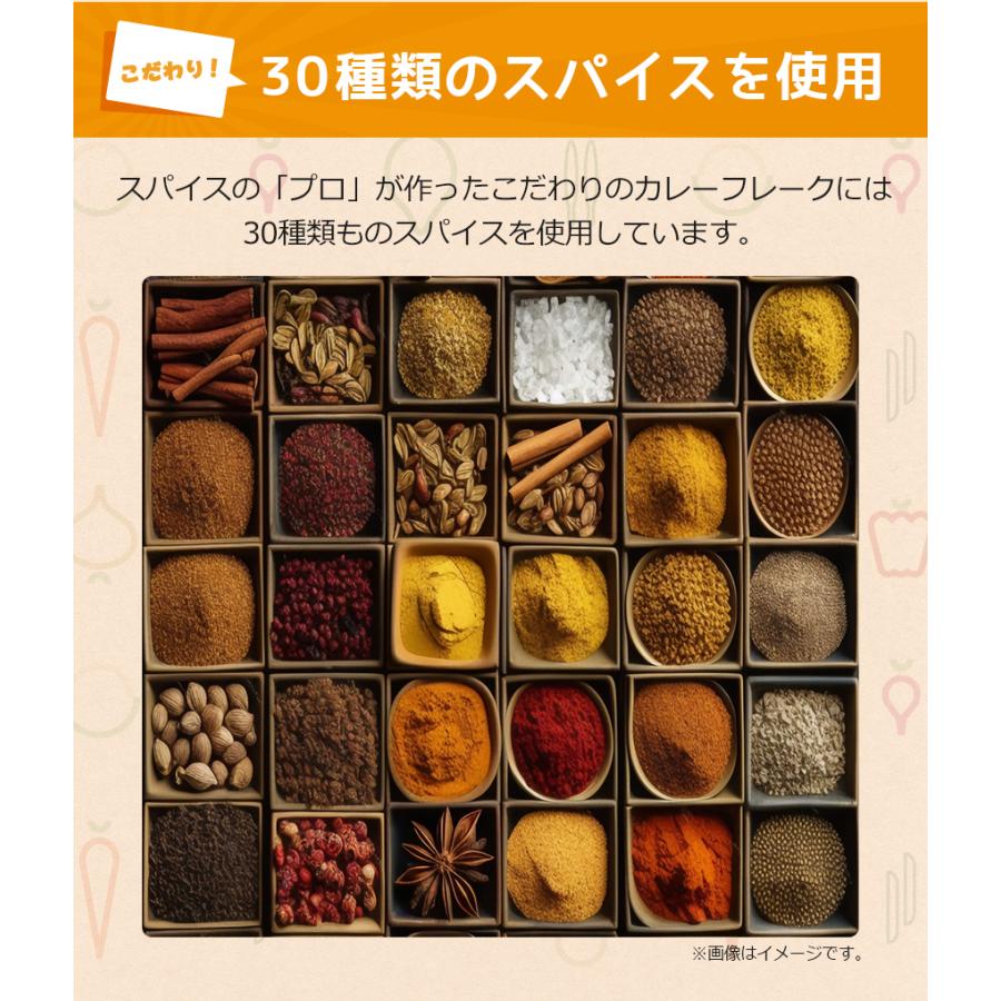カレーフレーク 中辛 170g カレールー カレー粉 スパイス専門店 スパイス30種 レビュープレゼント SPANION | SPANION | 06