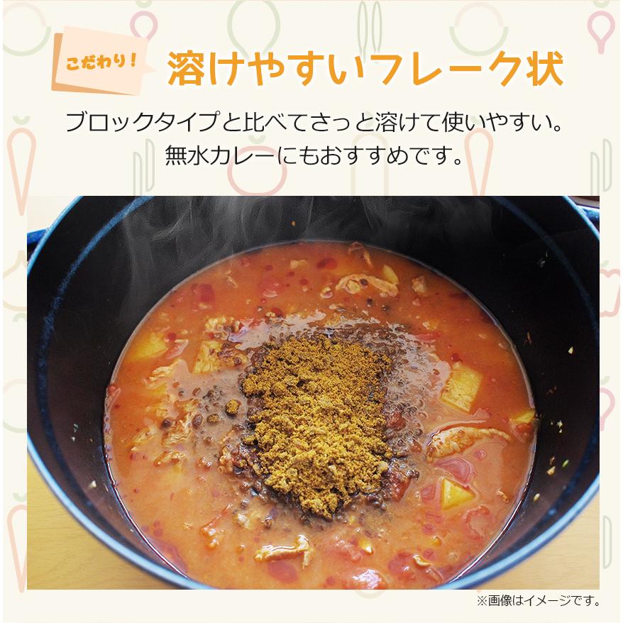 カレーフレーク 中辛 170g カレールー カレー粉 スパイス専門店 スパイス30種 レビュープレゼント SPANION | SPANION | 07