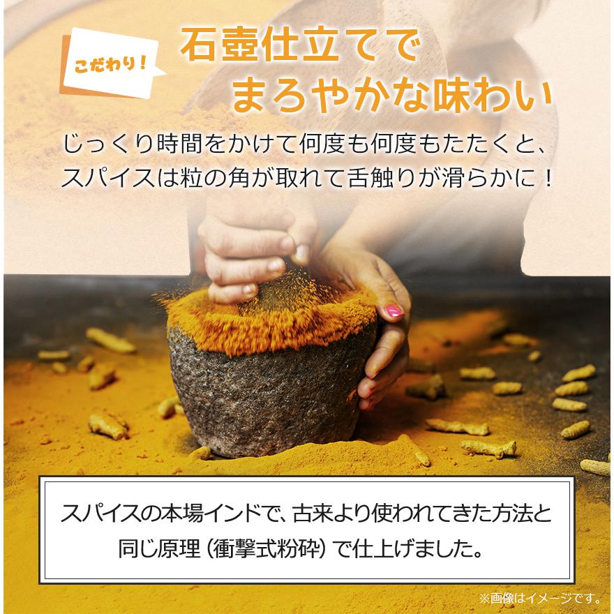 カレーフレーク 中辛 170g カレールー カレー粉 スパイス専門店 スパイス30種 レビュープレゼント SPANION | SPANION | 08