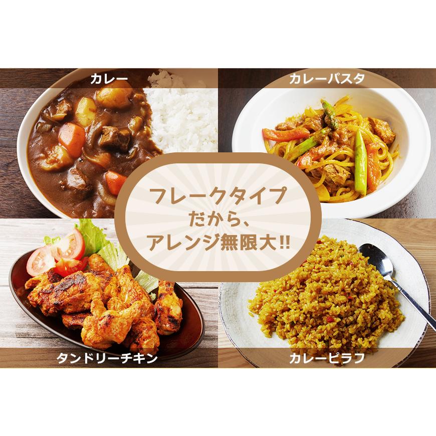 カレーフレーク 中辛 170g カレールー カレー粉 スパイス専門店 スパイス30種 レビュープレゼント SPANION | SPANION | 11