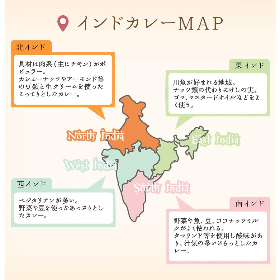 スパイスハンター オリジナル 北インド風カレーパウダー 100g スパイスカレー 本格 インドカレー 送料無料 SPANION | SPANION | 12