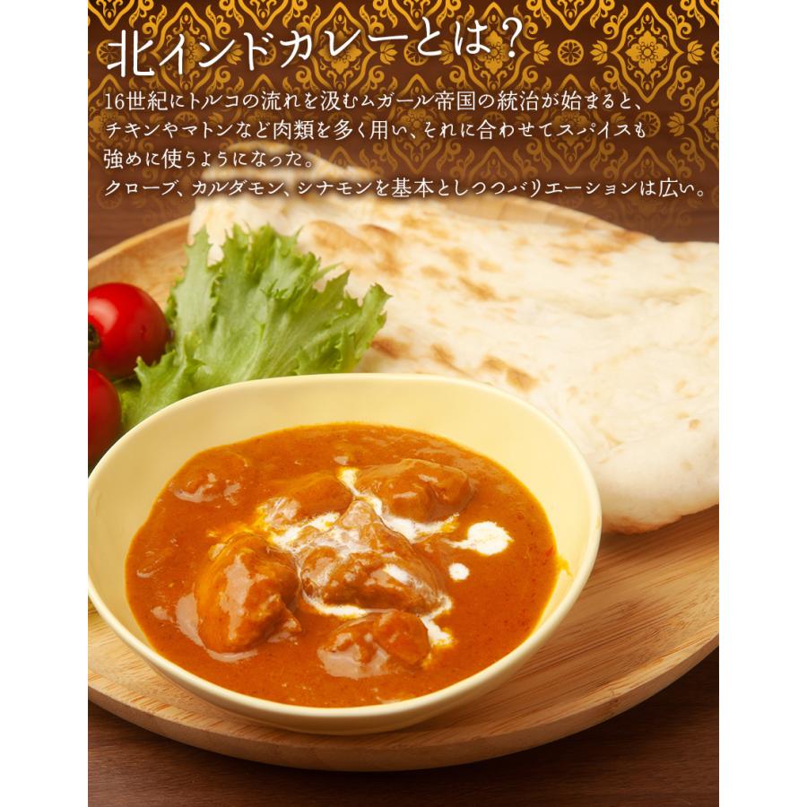 スパイスハンター オリジナル 北インド風カレーパウダー 100g スパイスカレー 本格 インドカレー 送料無料 SPANION | SPANION | 13