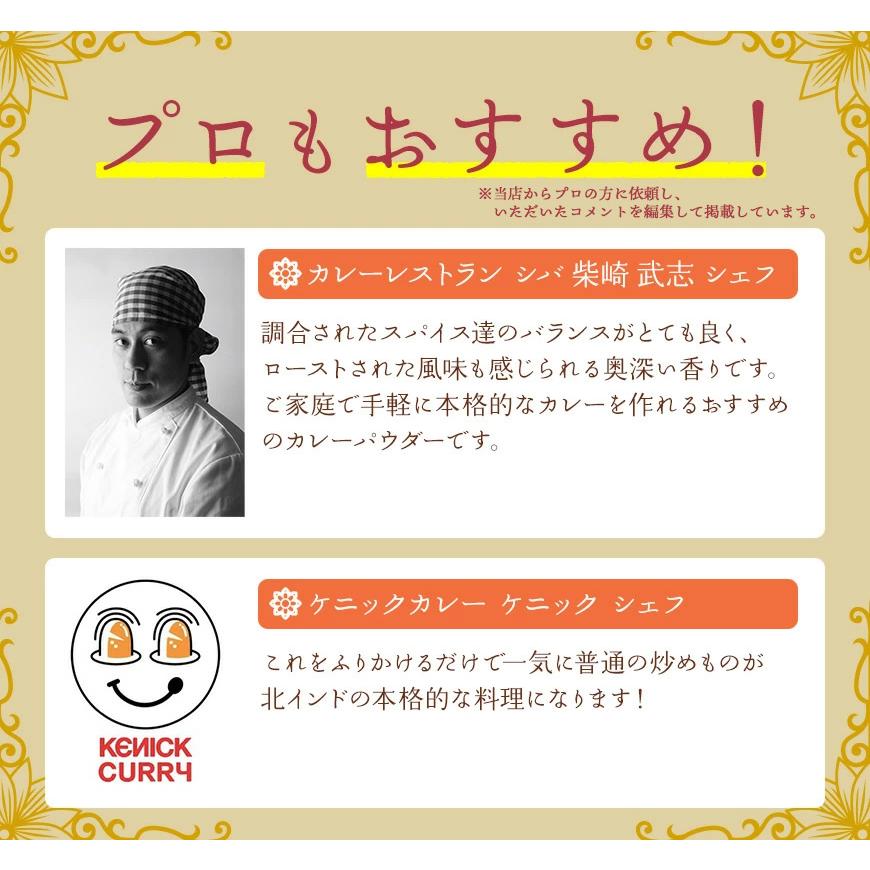 スパイスカレー カレー粉 北インド風カレーパウダー 100g 本格 インドカレー カレースパイス SPANION 爆買 | SPANION | 09