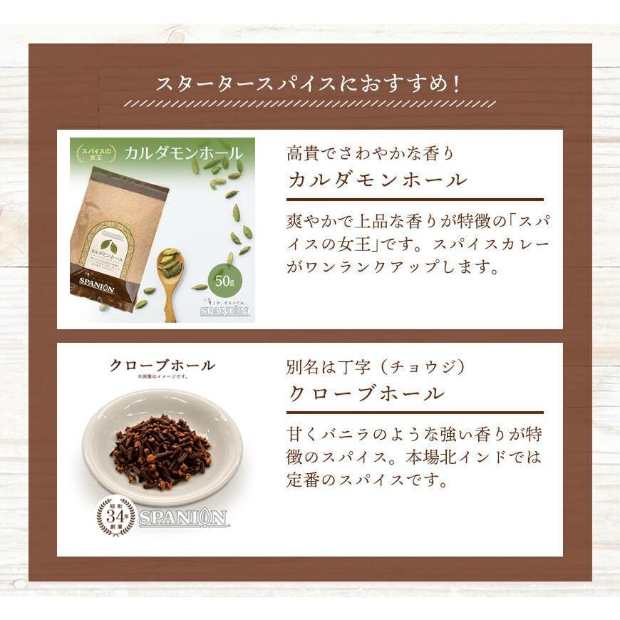 スパイスハンター オリジナル 北インド風カレーパウダー 100g スパイスカレー 本格 インドカレー 送料無料 SPANION | SPANION | 14