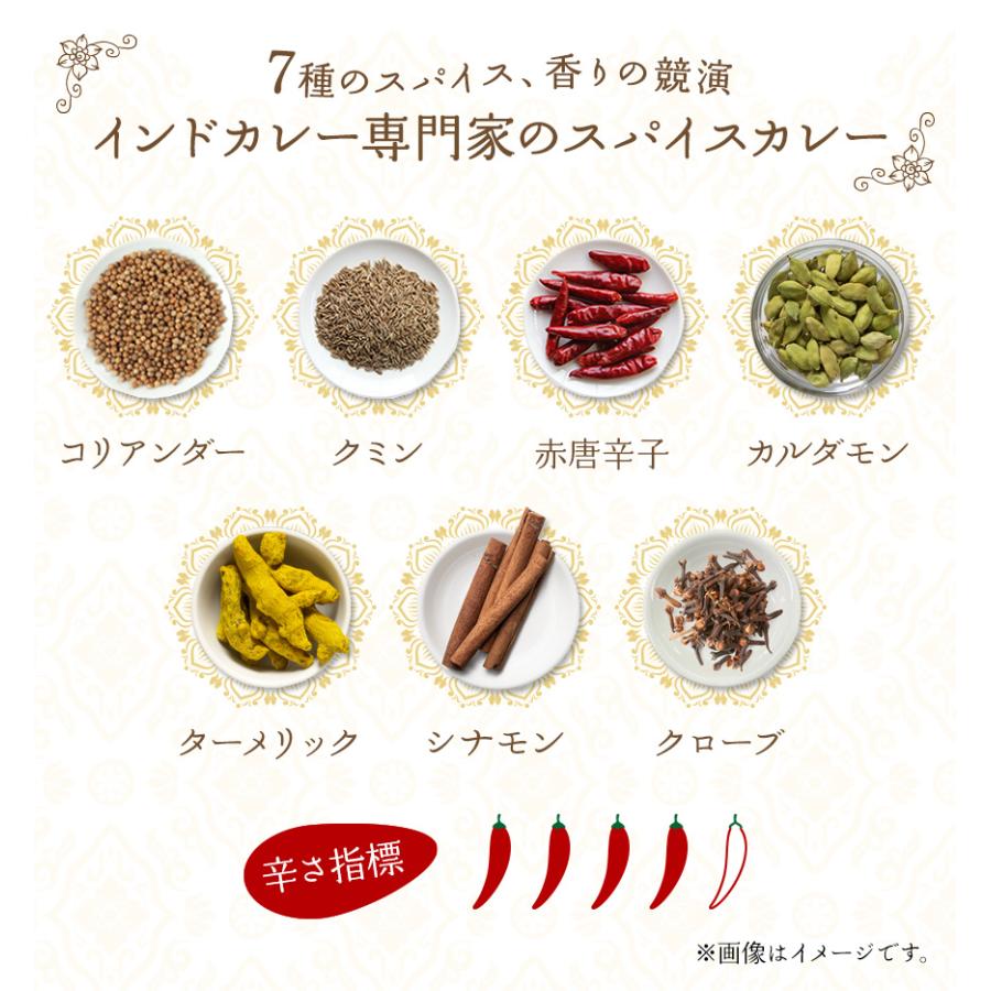 スパイスハンター オリジナル 北インド風カレーパウダー 100g スパイスカレー 本格 インドカレー 送料無料 SPANION | SPANION | 03