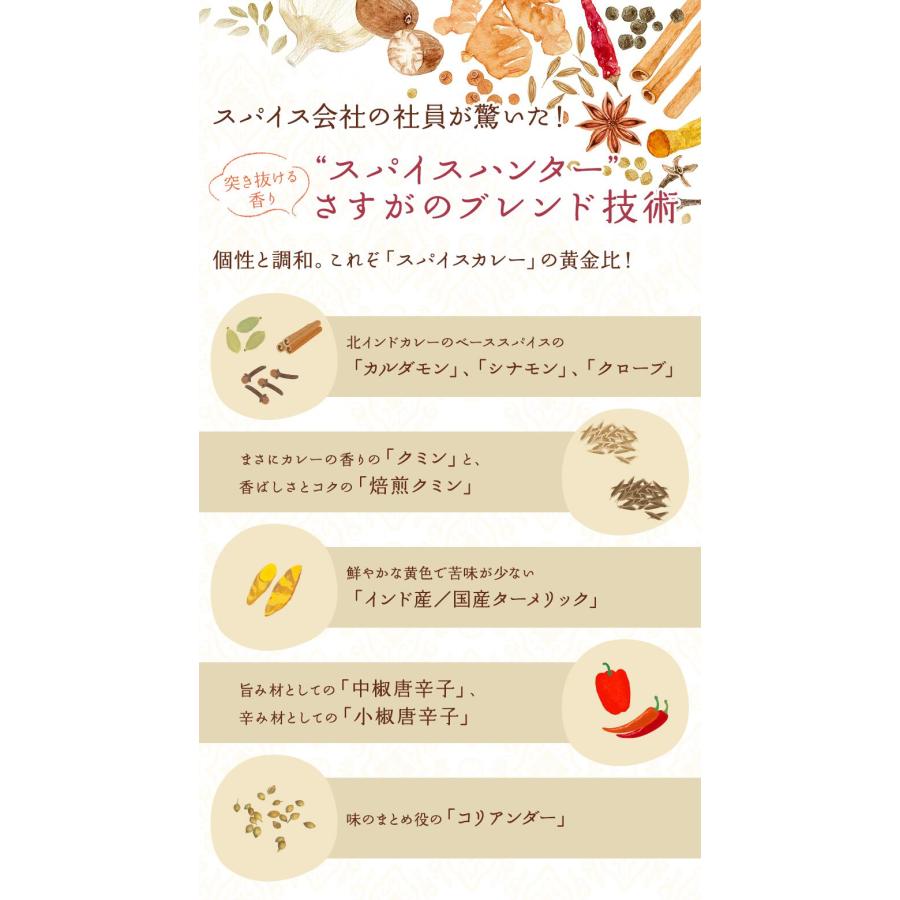 スパイスハンター オリジナル 北インド風カレーパウダー 100g スパイスカレー 本格 インドカレー 送料無料 SPANION | SPANION | 04