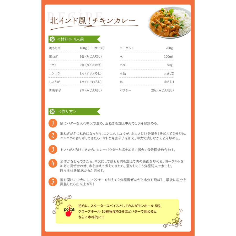 スパイスハンター オリジナル 北インド風カレーパウダー 100g スパイスカレー 本格 インドカレー 送料無料 SPANION | SPANION | 05