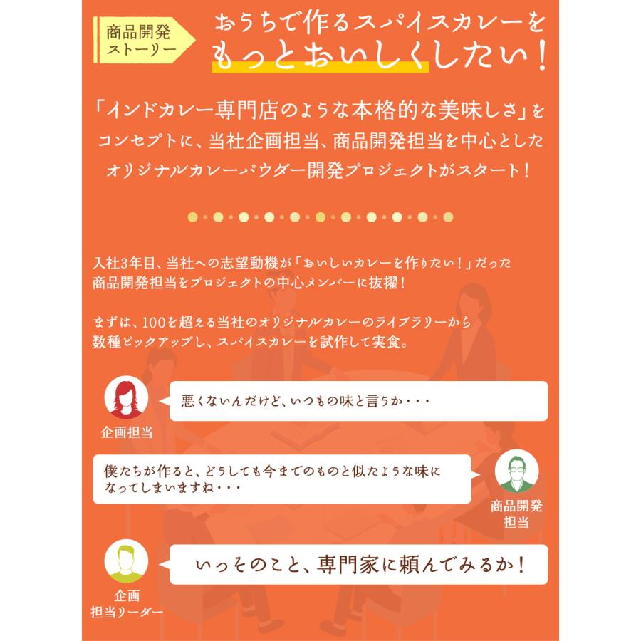 スパイスハンター オリジナル 北インド風カレーパウダー 100g スパイスカレー 本格 インドカレー 送料無料 SPANION | SPANION | 08