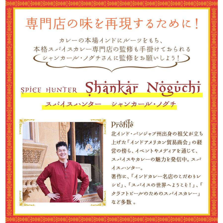 スパイスハンター オリジナル 北インド風カレーパウダー 100g スパイスカレー 本格 インドカレー 送料無料 SPANION | SPANION | 09