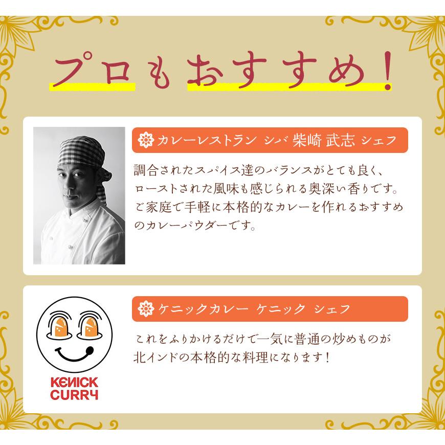 スパイスハンター オリジナル 北インド風カレーパウダー 100g スパイスカレー 本格 インドカレー 送料無料 SPANION | SPANION | 11