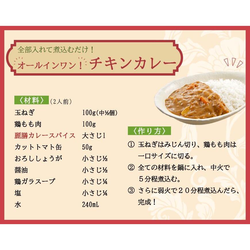 薬膳料理研究家監修 麗膳 カレースパイス 100g 自社農薬検査 薬膳カレー スパイスカレー レビューでセイロンシナモン SPANION | SPANION | 13