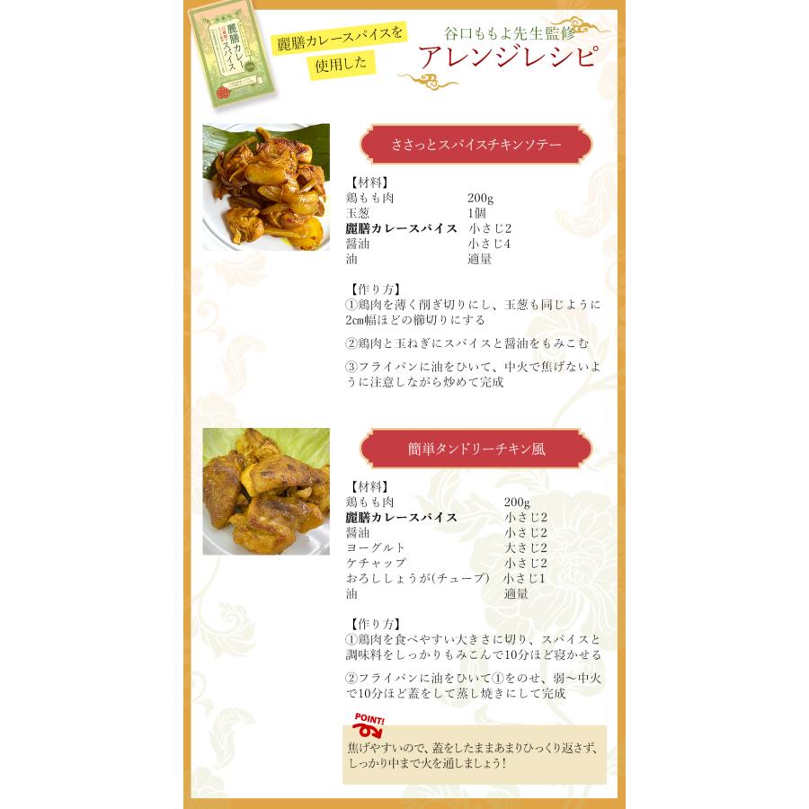 薬膳料理研究家監修 麗膳 カレースパイス 100g 自社農薬検査 薬膳カレー スパイスカレー レビューでセイロンシナモン SPANION | SPANION | 14