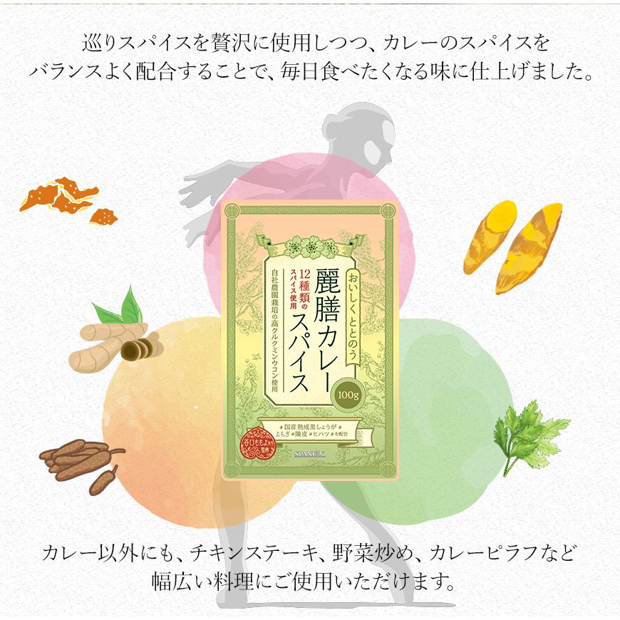 薬膳料理研究家監修 麗膳 カレースパイス 100g 自社農薬検査 薬膳カレー スパイスカレー レビューでセイロンシナモン SPANION | SPANION | 04