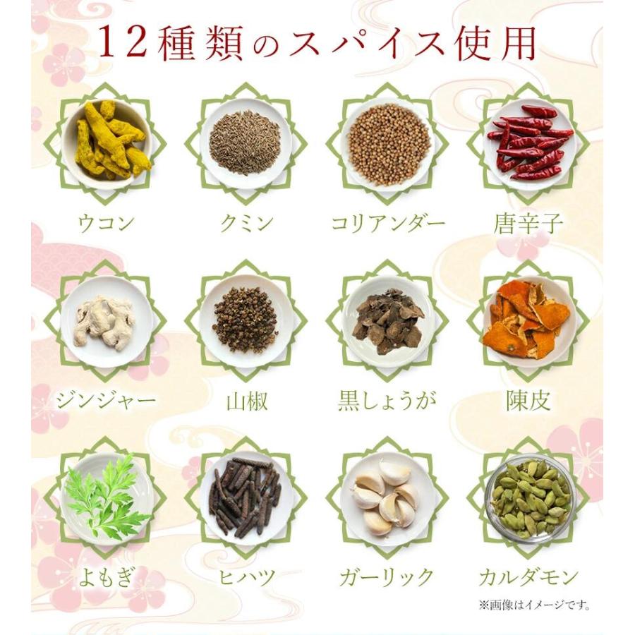 薬膳料理研究家監修 麗膳 カレースパイス 100g 自社農薬検査 薬膳カレー スパイスカレー レビューでセイロンシナモン SPANION | SPANION | 08