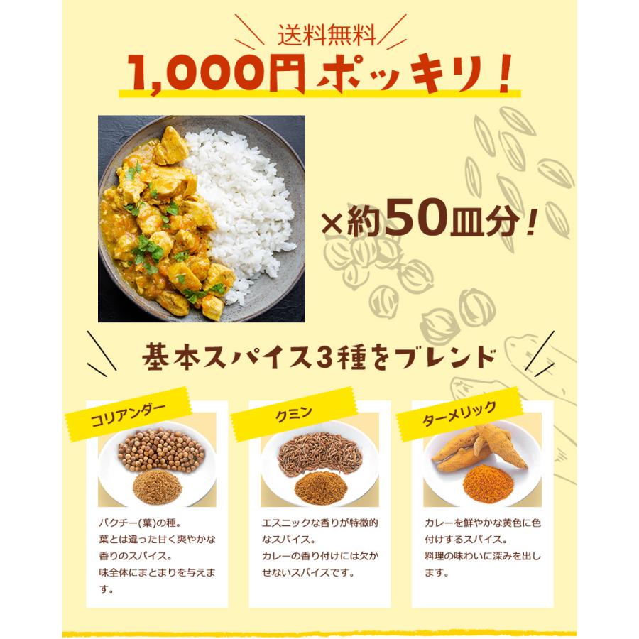 カレー3MIX 100g 50皿分 スパイスカレー カレーパウダー カレー 辛味なし ブレンド不要 レシピ付き 送料無料 SPANION | SPANION | 03