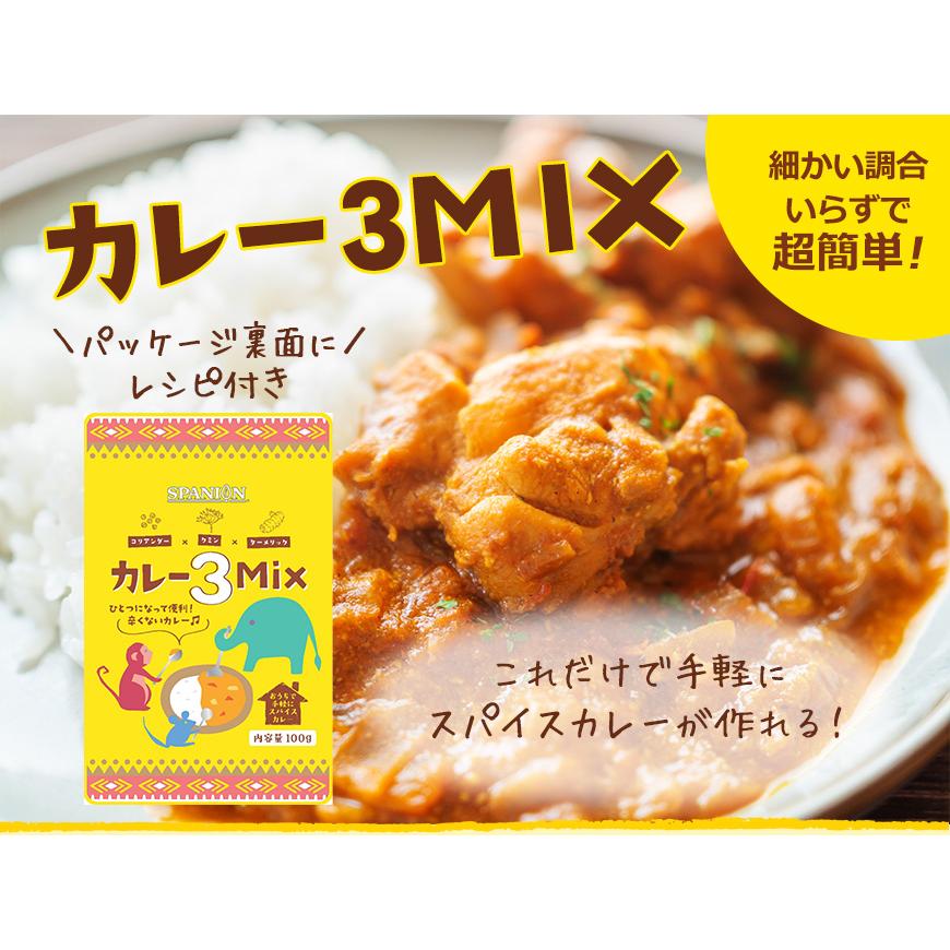 カレー3MIX 100g 50皿分 スパイスカレー カレーパウダー カレー 辛味なし ブレンド不要 レシピ付き 送料無料 SPANION | SPANION | 02