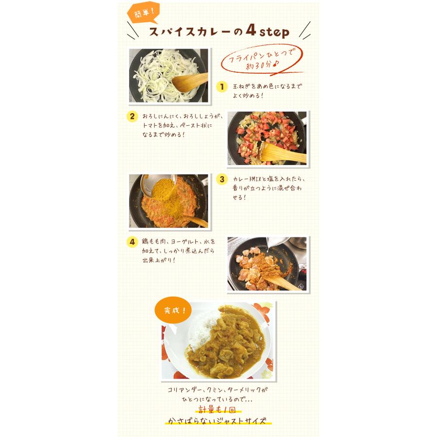 カレー3MIX 100g 50皿分 スパイスカレー カレーパウダー カレー 辛味なし ブレンド不要 レシピ付き 送料無料 SPANION | SPANION | 04