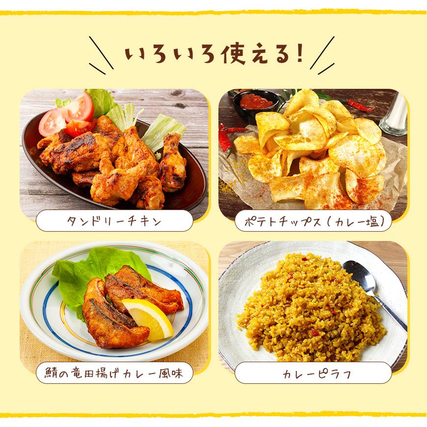 カレー3MIX 100g 50皿分 スパイスカレー カレーパウダー カレー 辛味なし ブレンド不要 レシピ付き 送料無料 SPANION | SPANION | 05