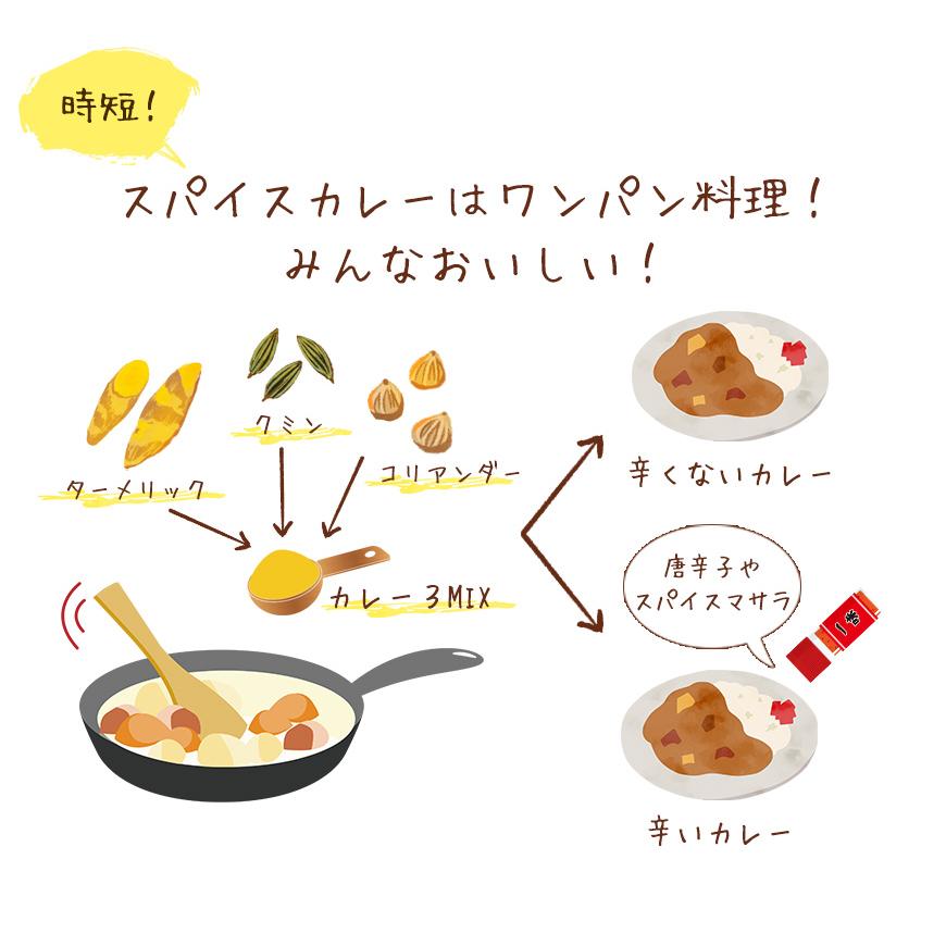 カレー3MIX 100g 50皿分 スパイスカレー カレーパウダー カレー 辛味なし ブレンド不要 レシピ付き 送料無料 SPANION | SPANION | 06