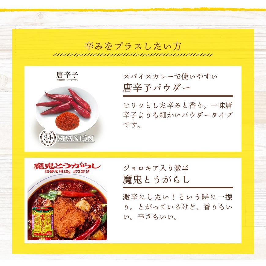 カレー3MIX 100g 50皿分 スパイスカレー カレーパウダー カレー 辛味なし ブレンド不要 レシピ付き 送料無料 SPANION | SPANION | 07