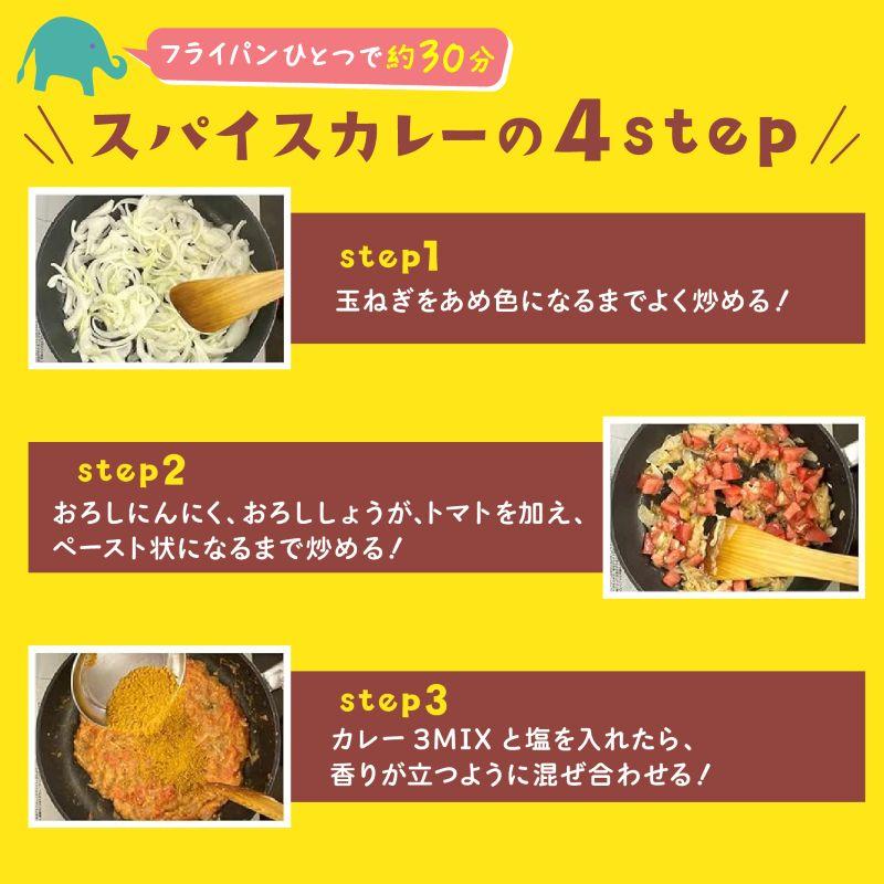 スパイスカレー カレー3MIX 100g 50皿分 カレー粉 辛味なし カレースパイス レシピ付き SPANION 爆買 | SPANION | 04