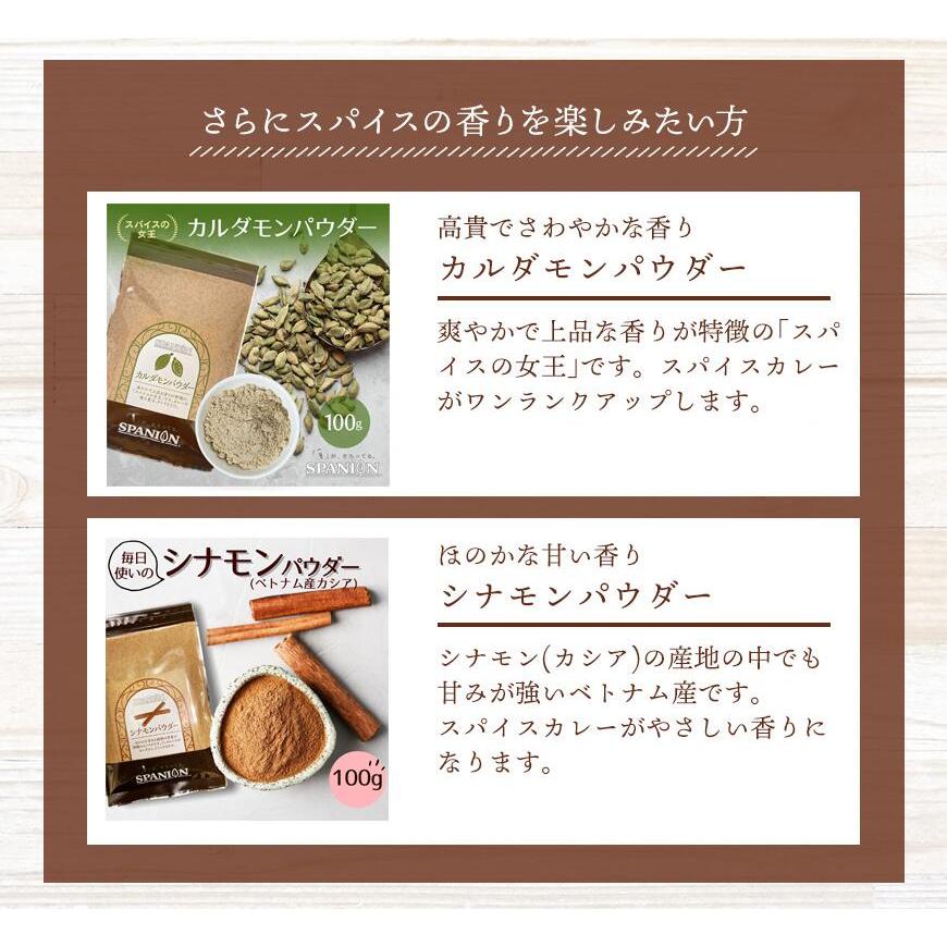 カレー3MIX 100g 50皿分 スパイスカレー カレーパウダー カレー 辛味なし ブレンド不要 レシピ付き 送料無料 SPANION | SPANION | 08