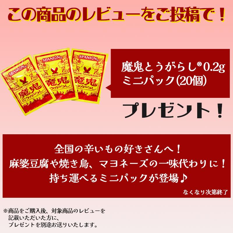 激辛 カレーフレーク 1kg ハバネロ 使用 業務用 カレールー スパイス専門店の本気 辛さ30倍 レビュープレゼント SPANION | SPANION | 03