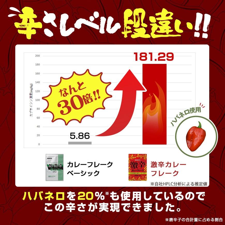 激辛 カレーフレーク 1kg ハバネロ 使用 業務用 カレールー スパイス専門店の本気 辛さ30倍 レビュープレゼント SPANION | SPANION | 05