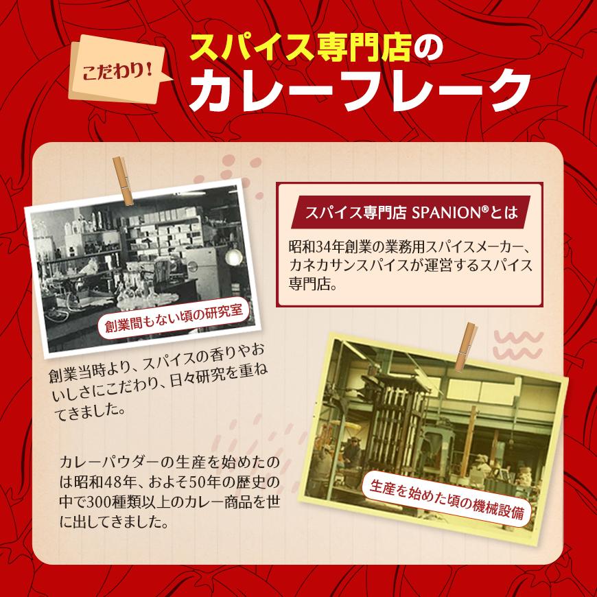 激辛 カレーフレーク 1kg ハバネロ 使用 業務用 カレールー スパイス専門店の本気 辛さ30倍 レビュープレゼント SPANION | SPANION | 10